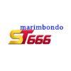 8b5620 st666 logo